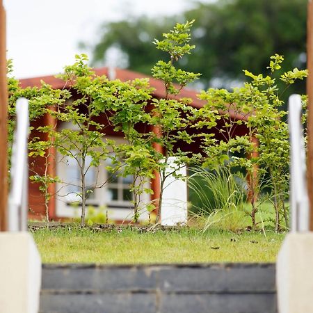 Giltraps Townhouse & Glamping Hotel Kinnitty Екстериор снимка